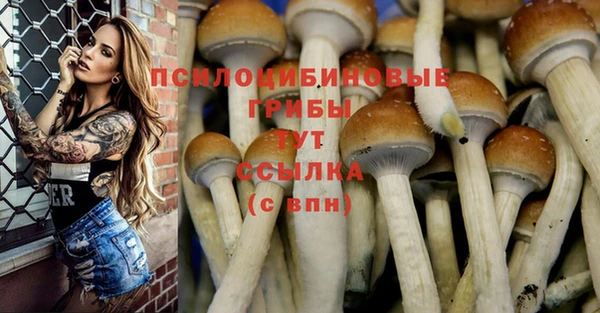 кристаллы Алексеевка