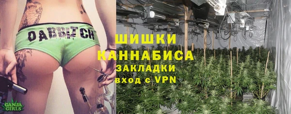 PSILOCYBIN Абаза