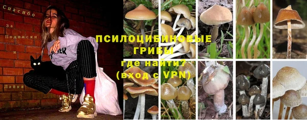MESCALINE Алексин